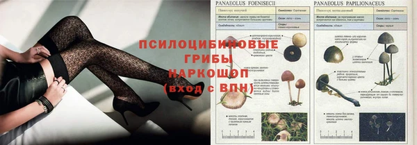 метадон Ладушкин