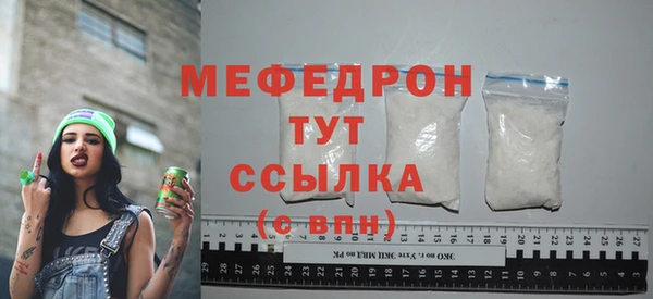 винт Лагань