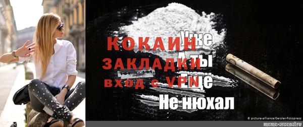 винт Лагань