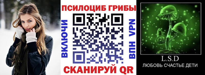 omg зеркало  Суджа  Галлюциногенные грибы ЛСД 