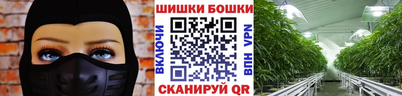 Марихуана марихуана Суджа