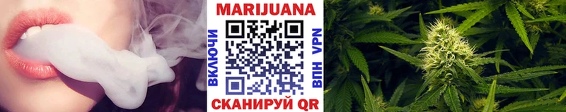 Конопля планчик  где найти   Суджа 
